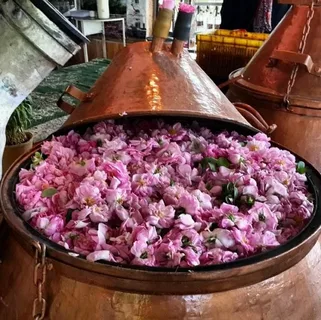 تصویر 1 از فروش گلاب اصالت + قیمت خرید به صرفه